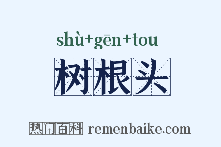 树根头是什么意思的图片